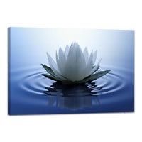 White Lotus Canvas Art Print (New In Box)