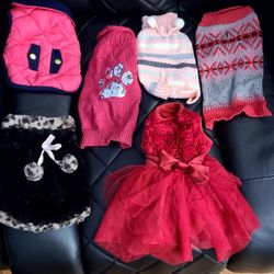 XS Dog Clothes