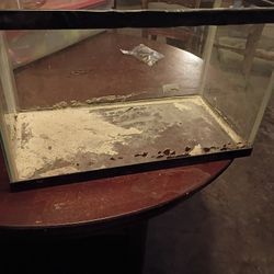 Free Reptile Cage. 