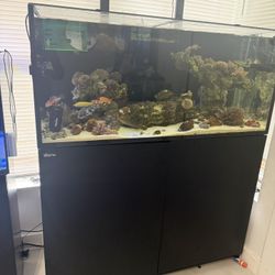 Red Sea 350 G1 Aquarium Saltwater Fishtank