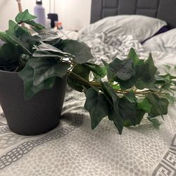 Artificial Plants