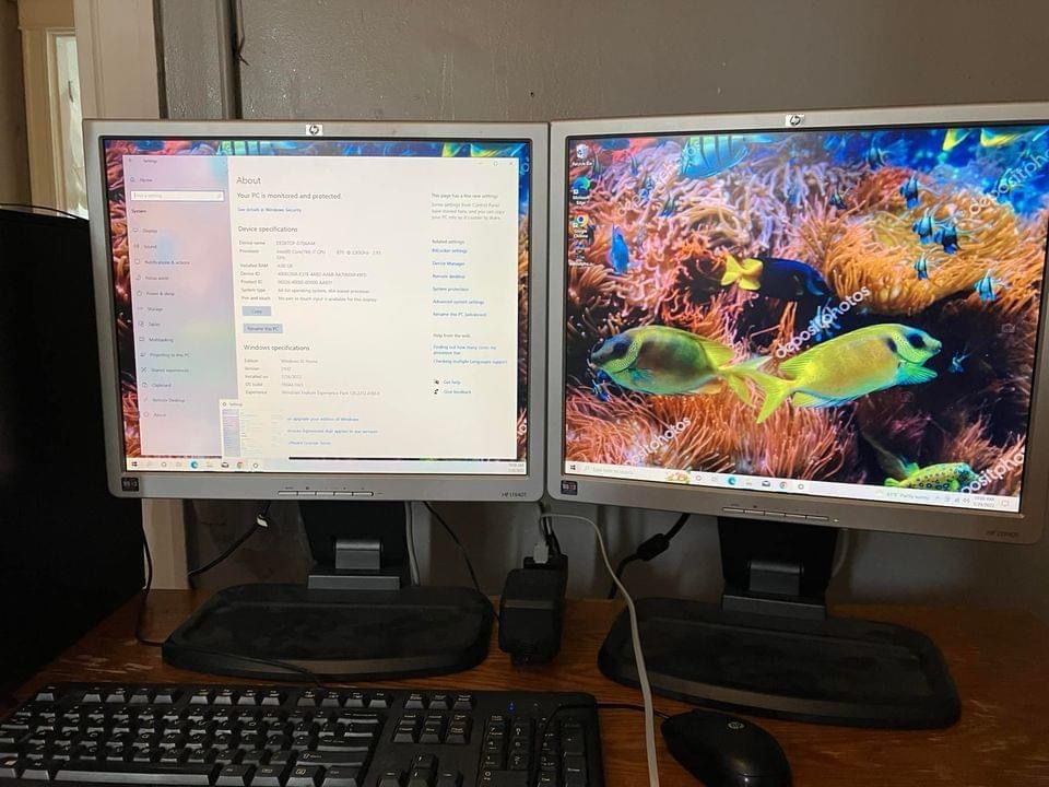 Dual Monitors