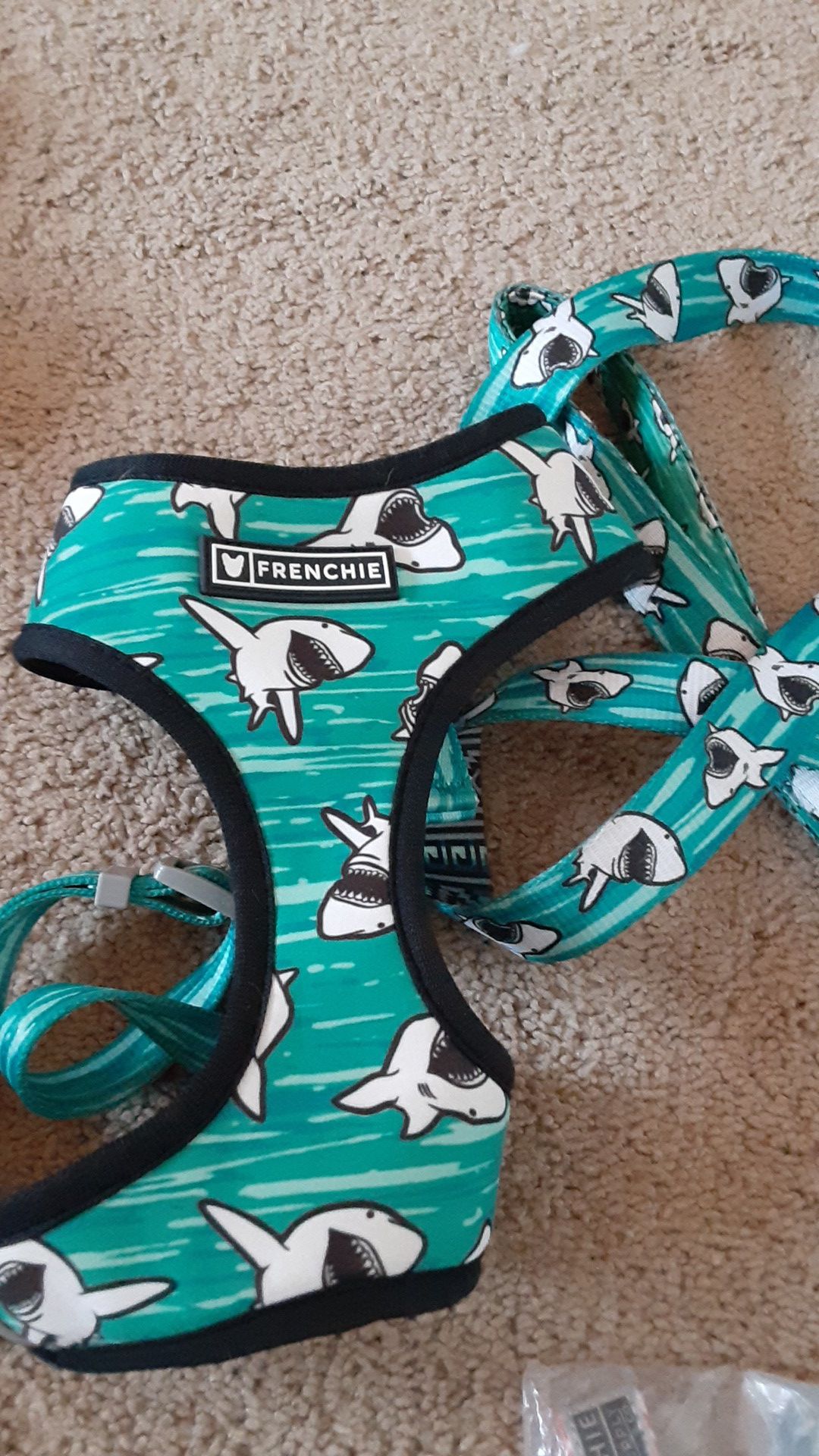 Frenchie Dog Harness & Collar