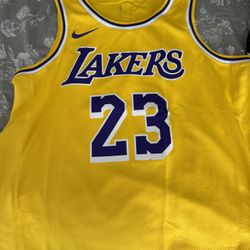 LeBron Lakers Jersey L