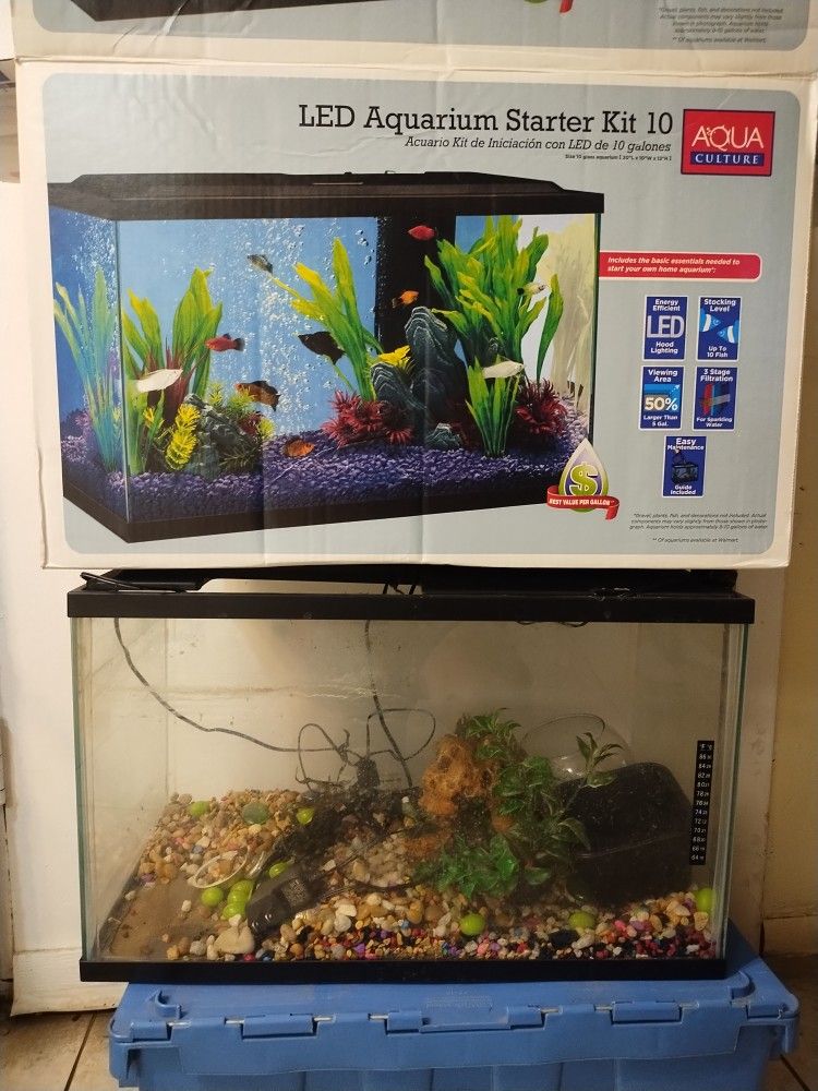 10 G Fish Tank For Free