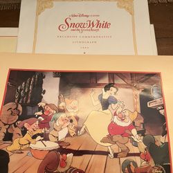 Walt Disney Collection 