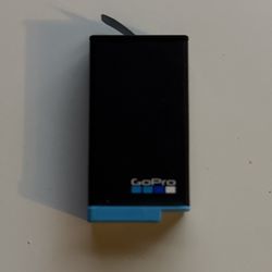 GoPro Max Battery