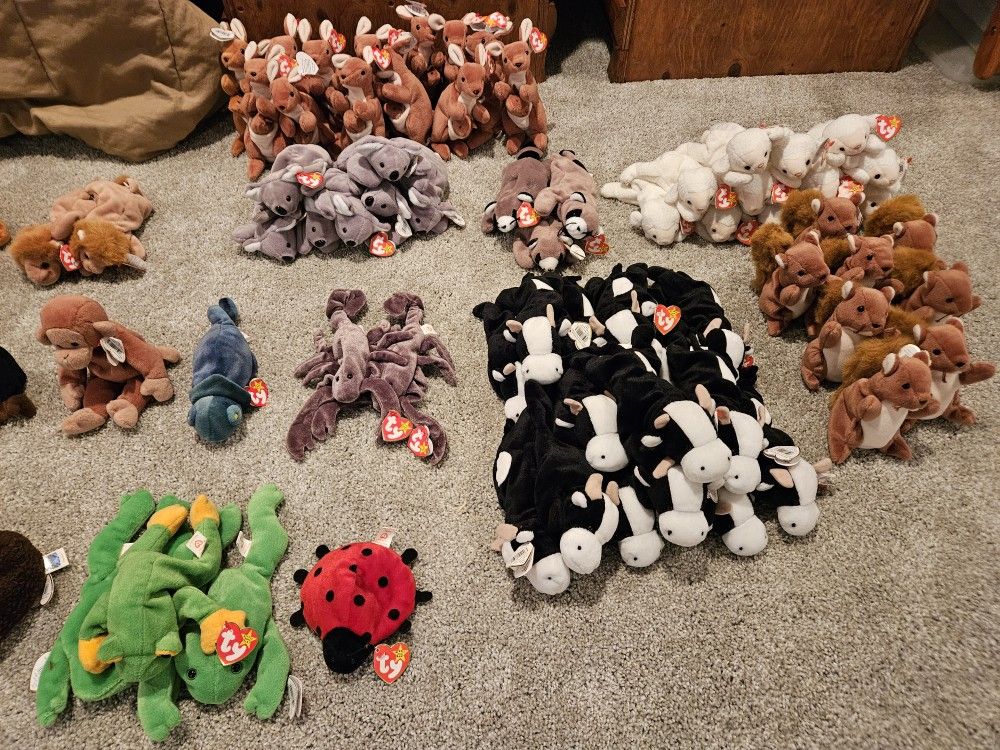 Beanie Babies