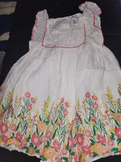 Haute Hippie Dress