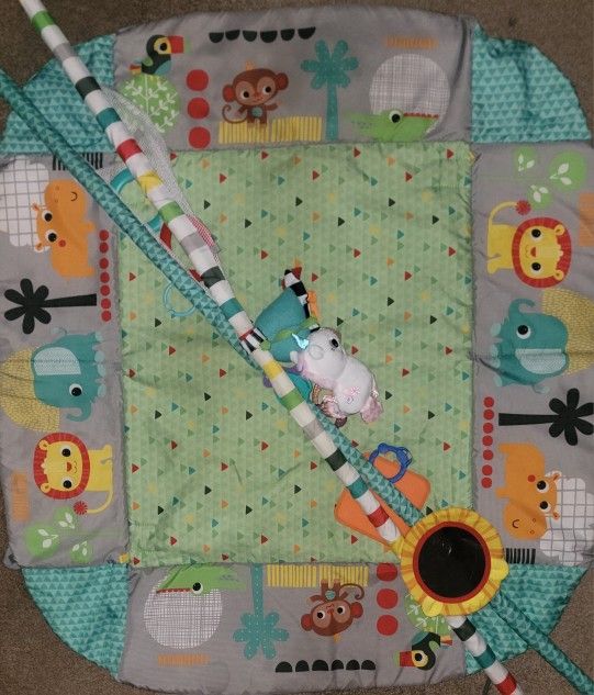 Gently Used Play Mat