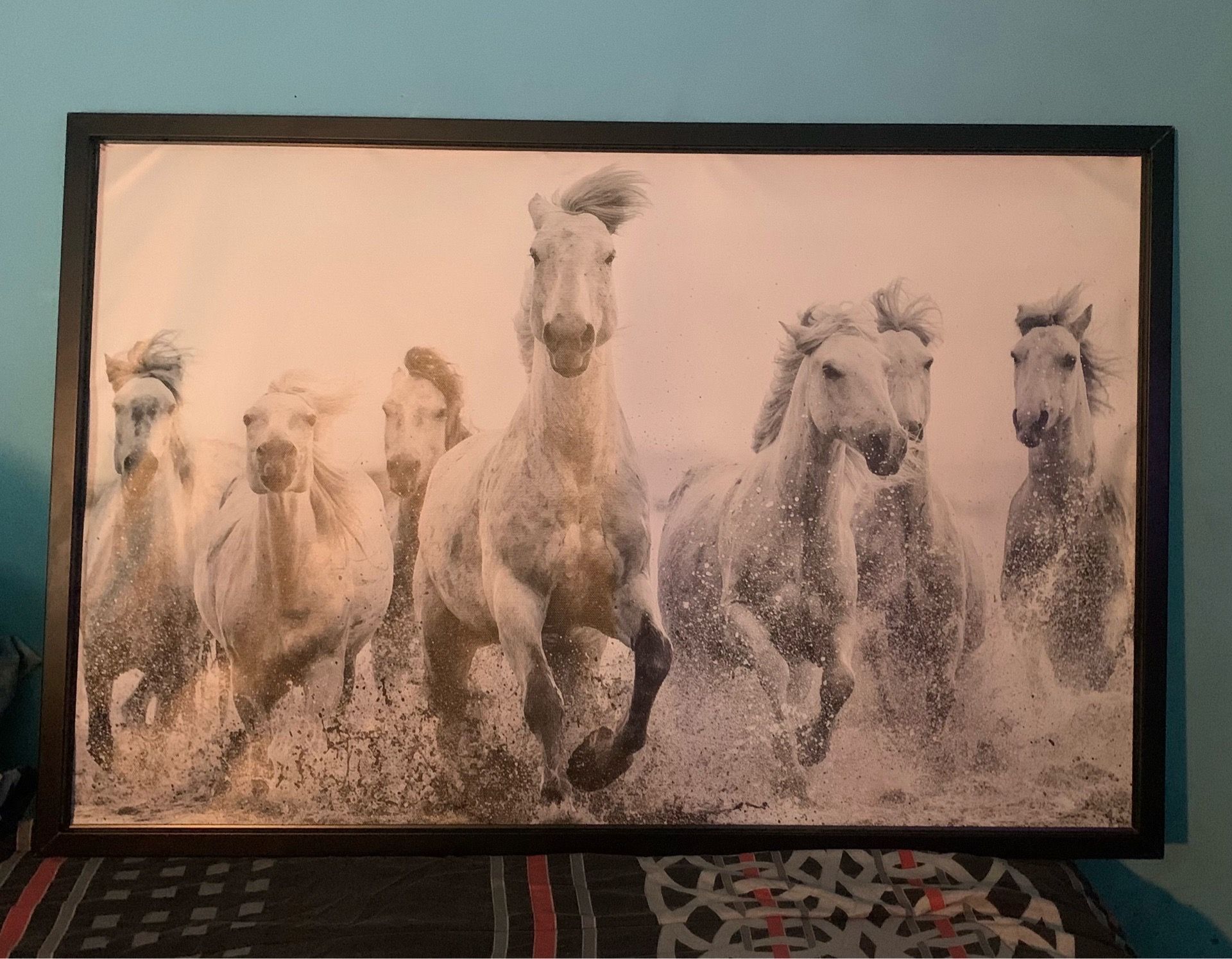 Black & White Horses Framed Canvas