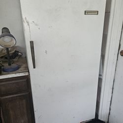 Stand Up Freezer 