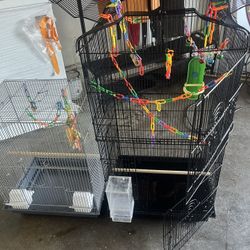 Bird Cages 