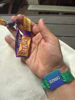 VIP LA PLAYA Baja Fest!