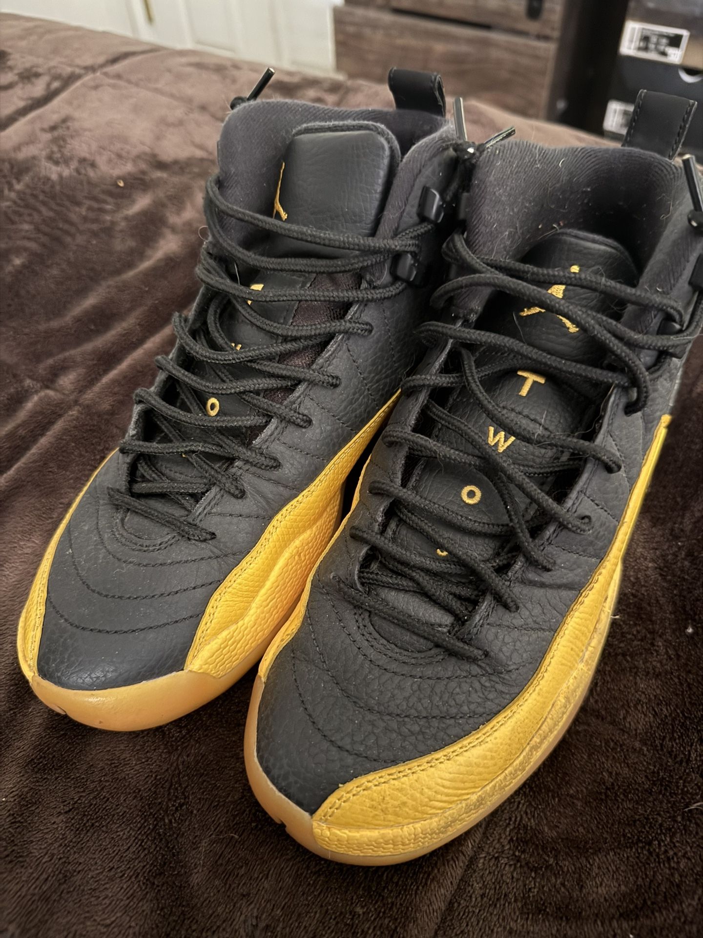 jordan 12 retro