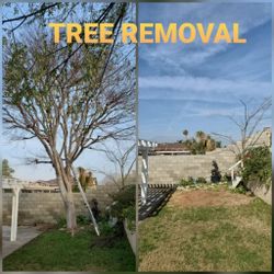 Stump Grinding Messge, Tree Messge