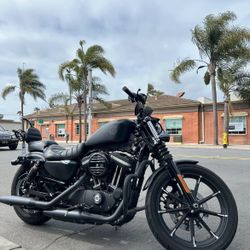 2021 Harley Davidson 883 sporter