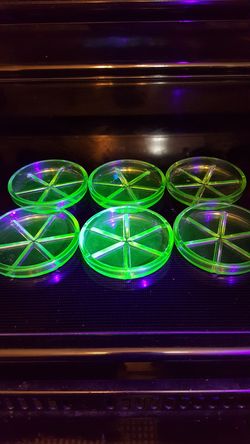 Vintage Green Vaseline Glass Coasters