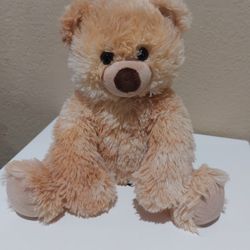 12 In Teddy Bear