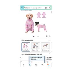 Post Op Dog PJs  (Serious Inquiries Only)