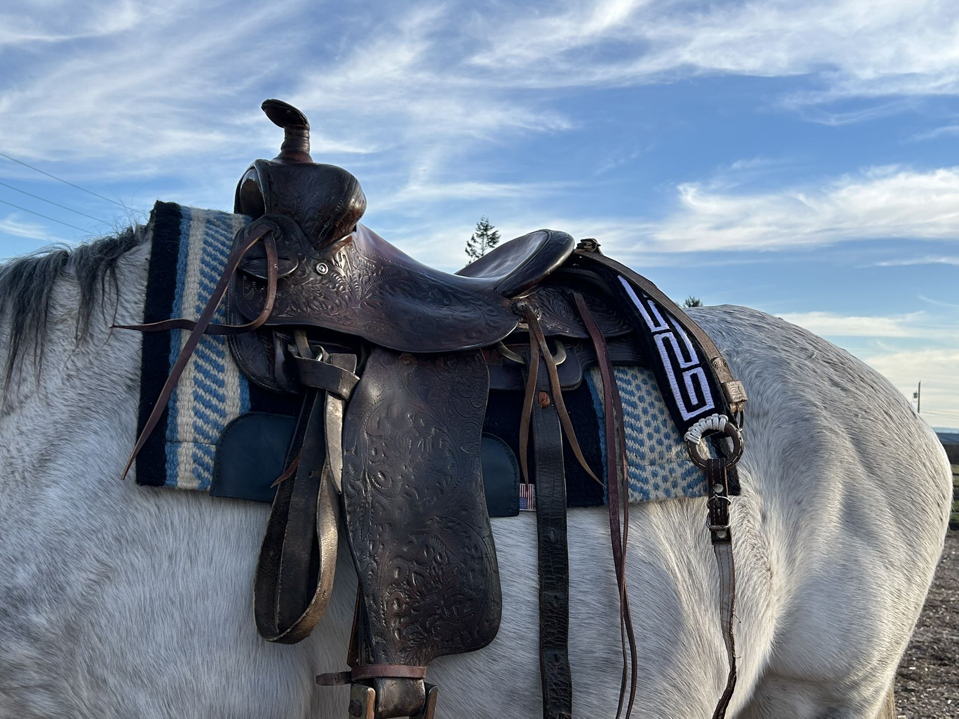 Bob Marrs Saddle
