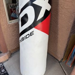 Punching Bag With Attachment (north Peoria)