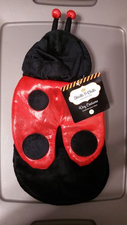 Thrills & Chills Ladybug Pet Costume - Small