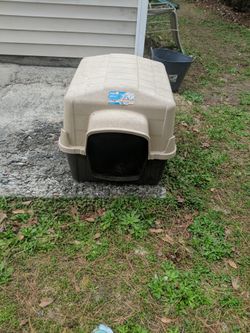 Dog House