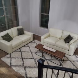 Couch/loveseats