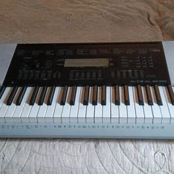 Casio Portable Keyboard Model Wk-220