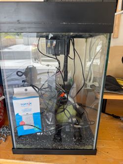 10gallon fish tank
