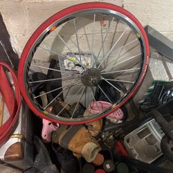 Bike Rims 