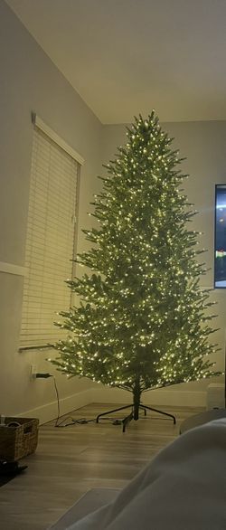 Viral Grand Fir Twinkling Tree (9ft)