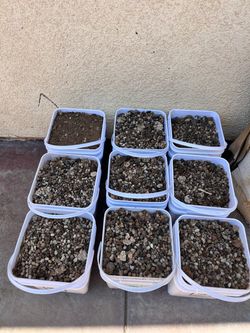 Albaca manure