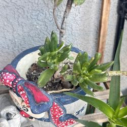 Plants With Pots 
