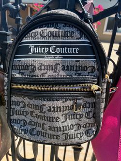 Small juicy couture bag