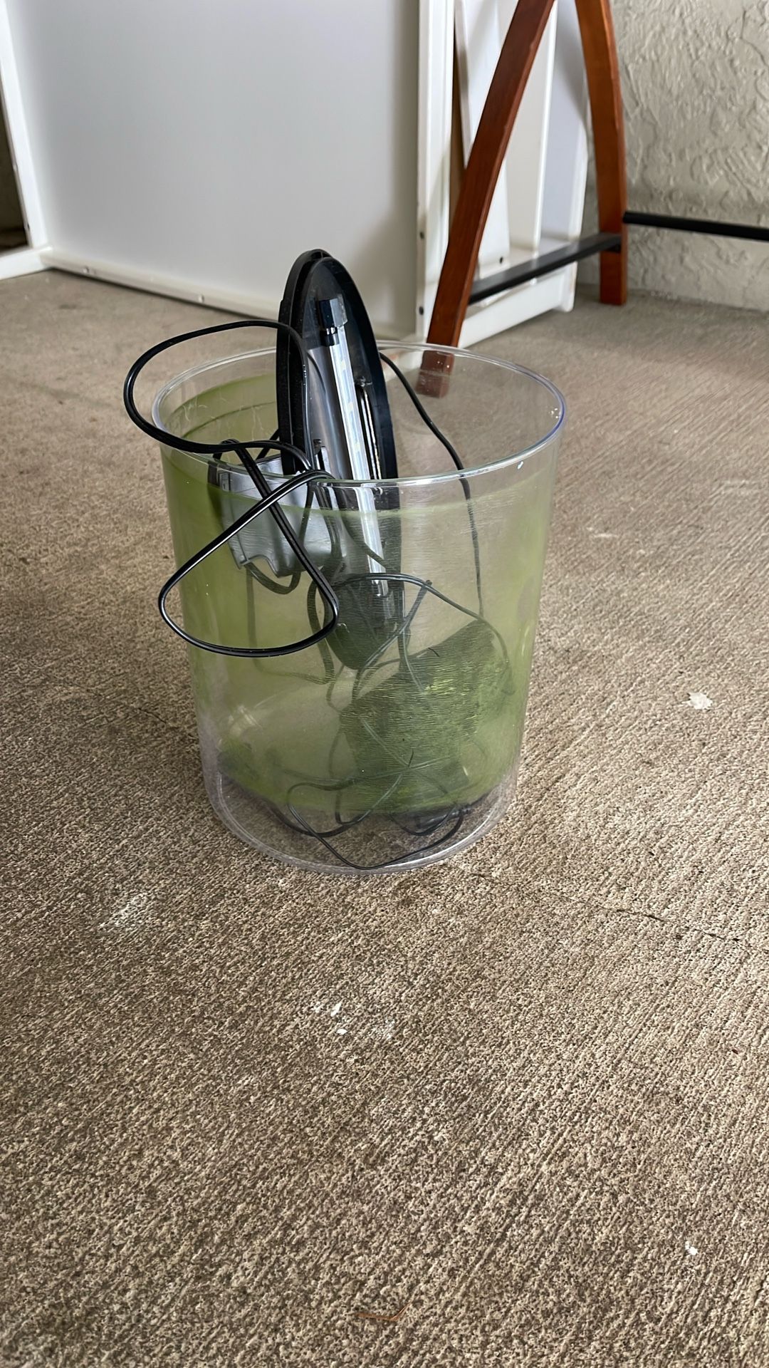 5 Gallon Fish Tank