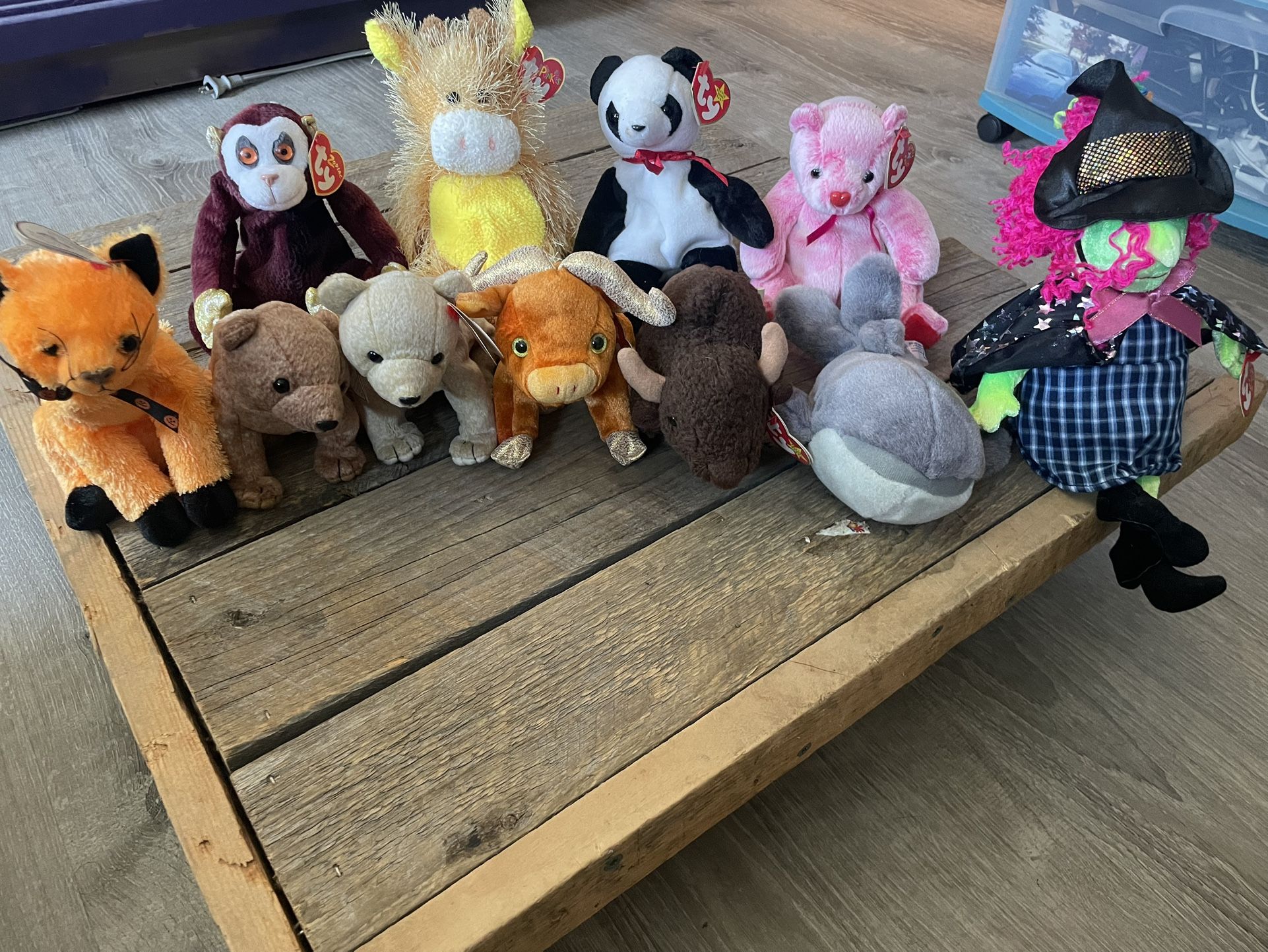 Beanie babies