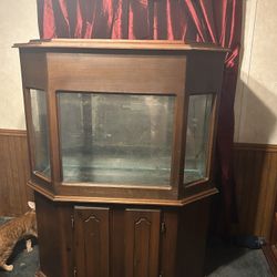 40 Gallon Enclosed Aquarium