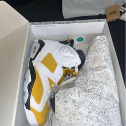 Jordan 6 Yellow Orche 8.5