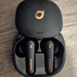 Soundcore Anc Earbuds