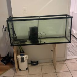 Fish Tank 