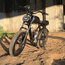 48 V E Bike