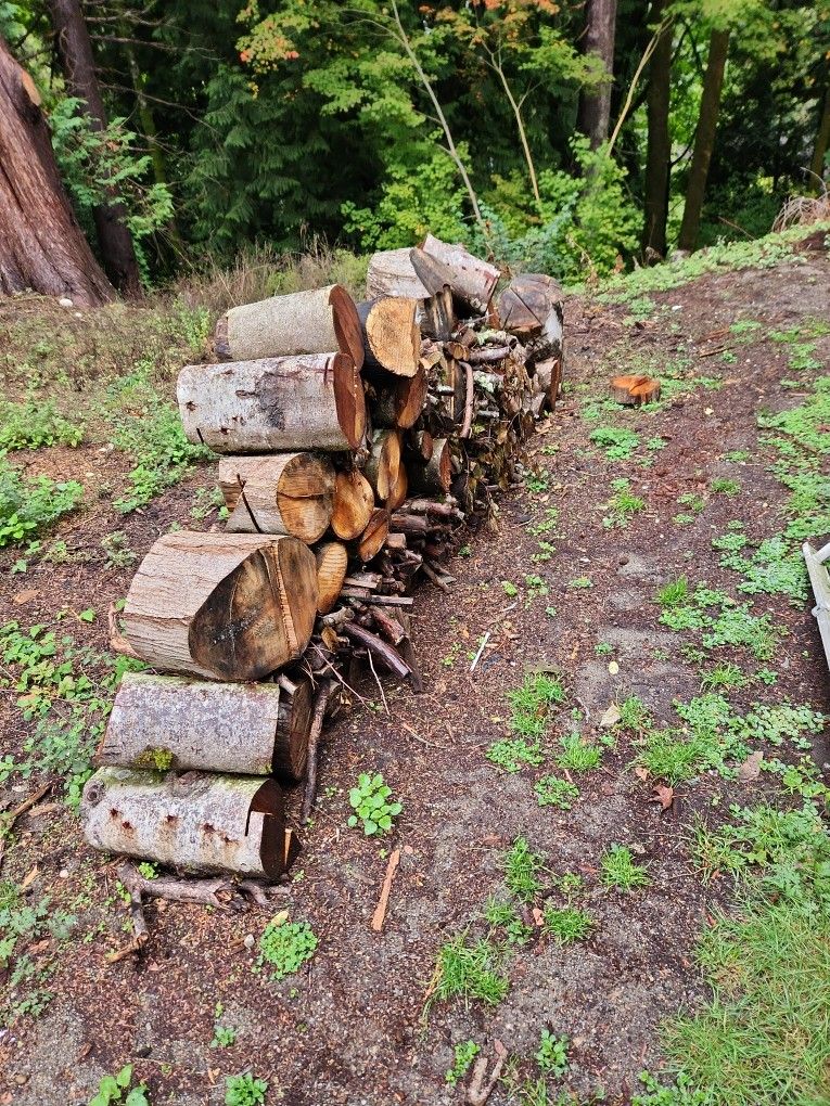 Free Wood