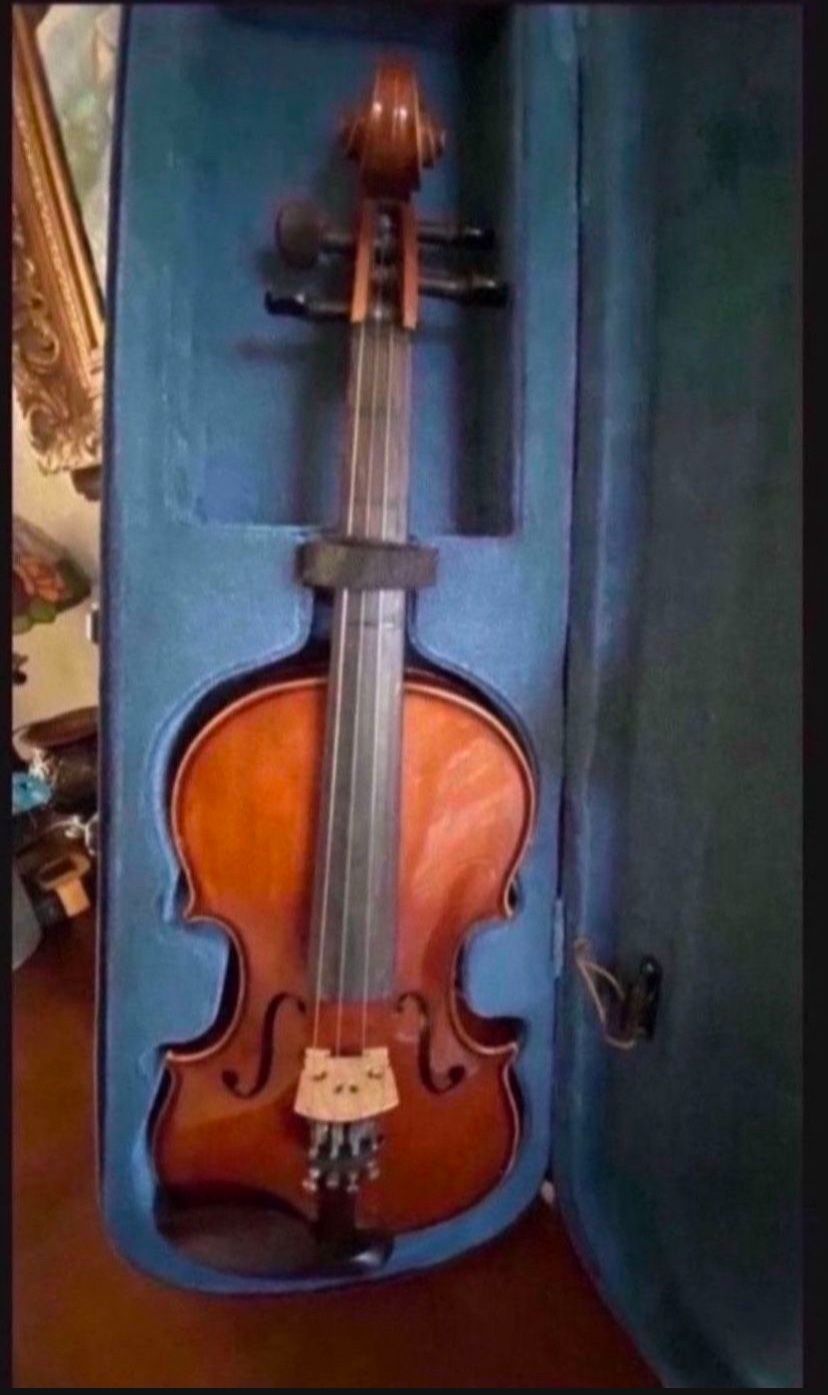 Carina violin italian engineering