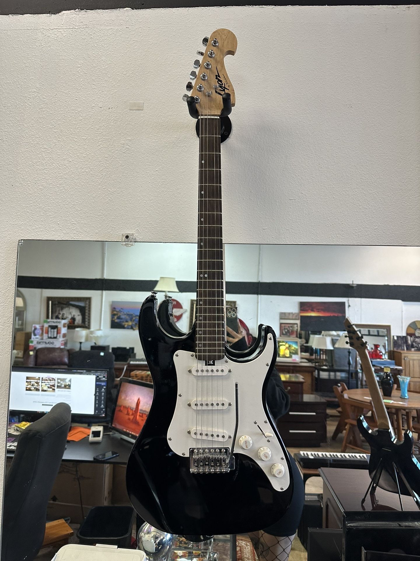 Washburn Lyon Guitar