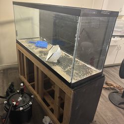 120 gallon fish tank. 
