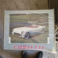 1954 Corvette Picture 