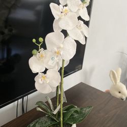 Artificial  Plant 