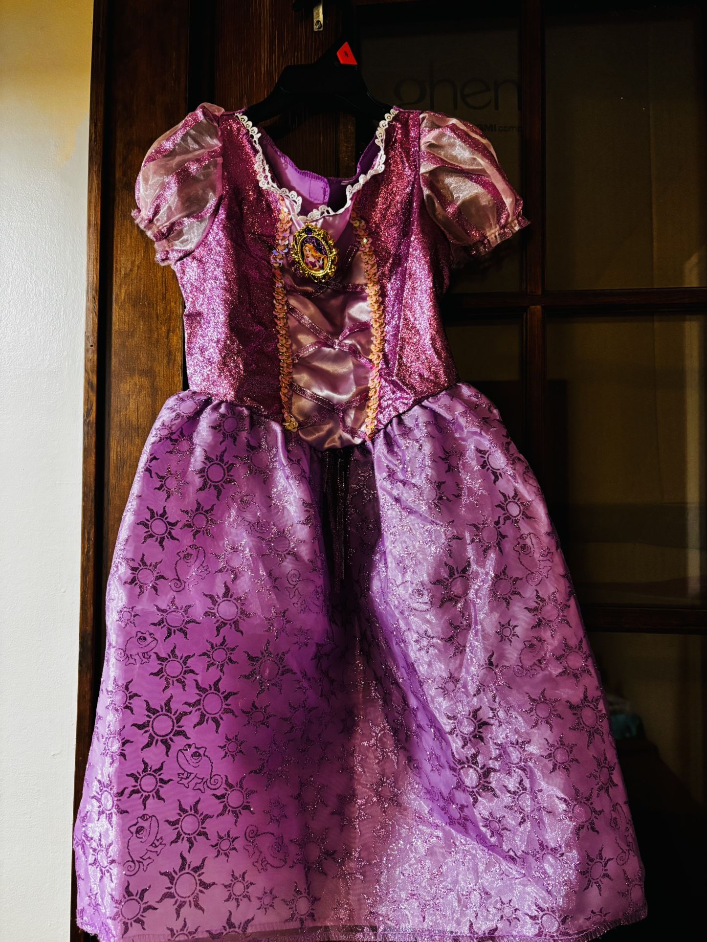 Disney Princess Rapunzel Costume Size 3t-4T